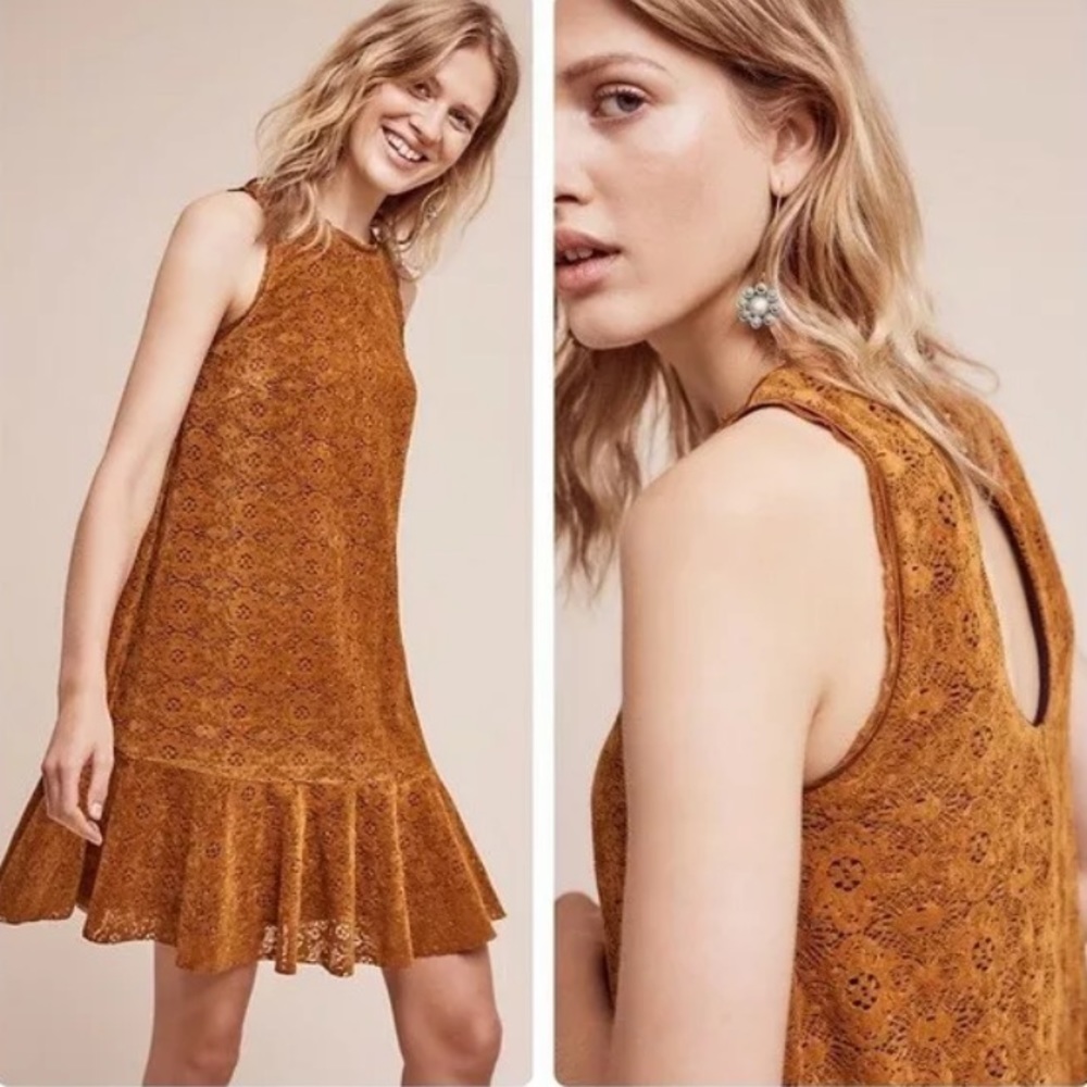 Anthropologie Maeve Amis Lace Dress Dropwaist 4